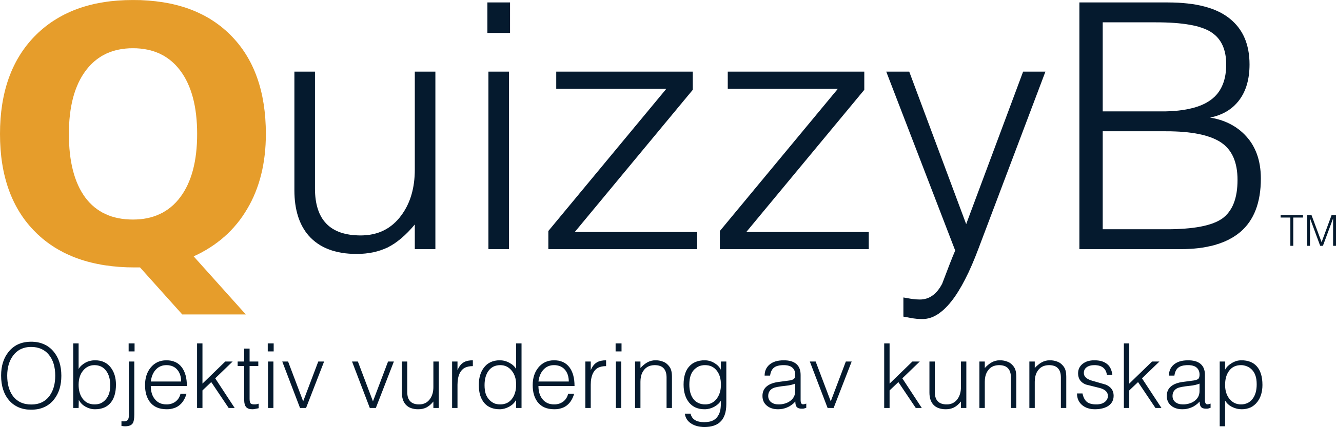 Homepage for the company QuizzyB